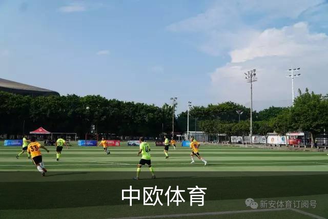 中欧体育公司简介展示图